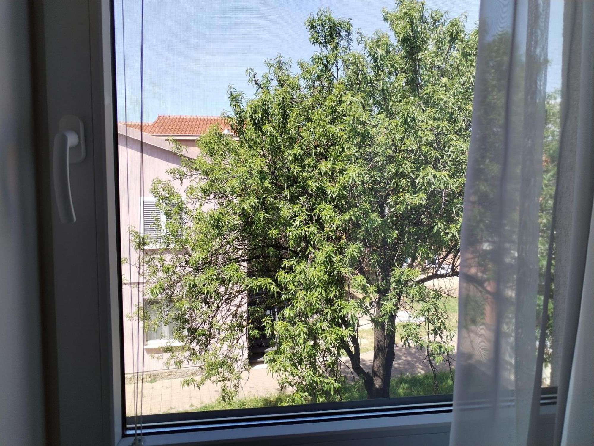 Family Apartment B&B Biograd Na Moru Buitenkant foto