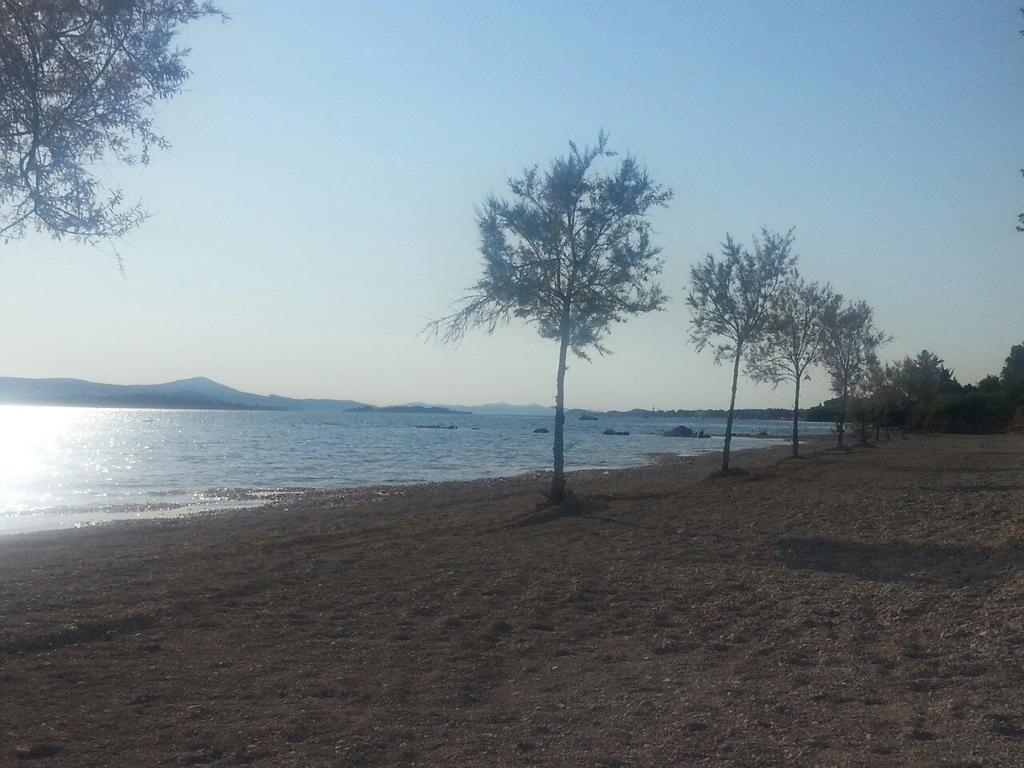 Family Apartment B&B Biograd Na Moru Buitenkant foto